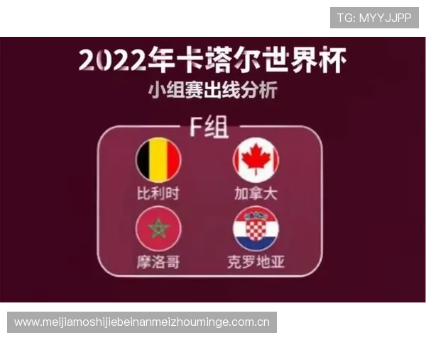 加拿大球迷参加世界杯卡塔尔比赛签证申请流程及所需准备材料